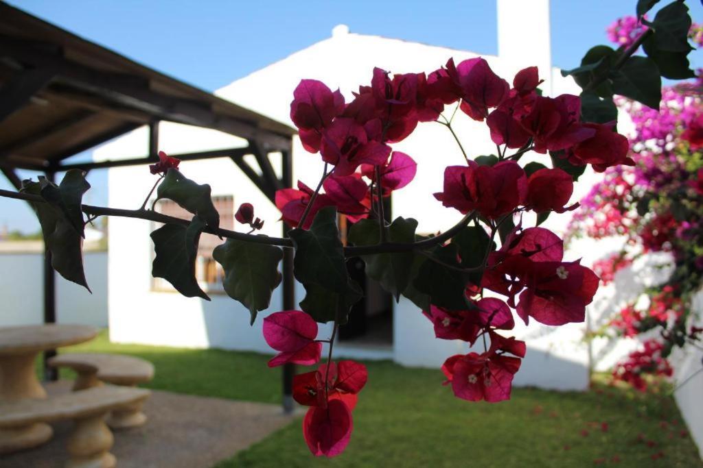 Hacienda Los Majadales Conil De La Frontera Eksteriør bilde