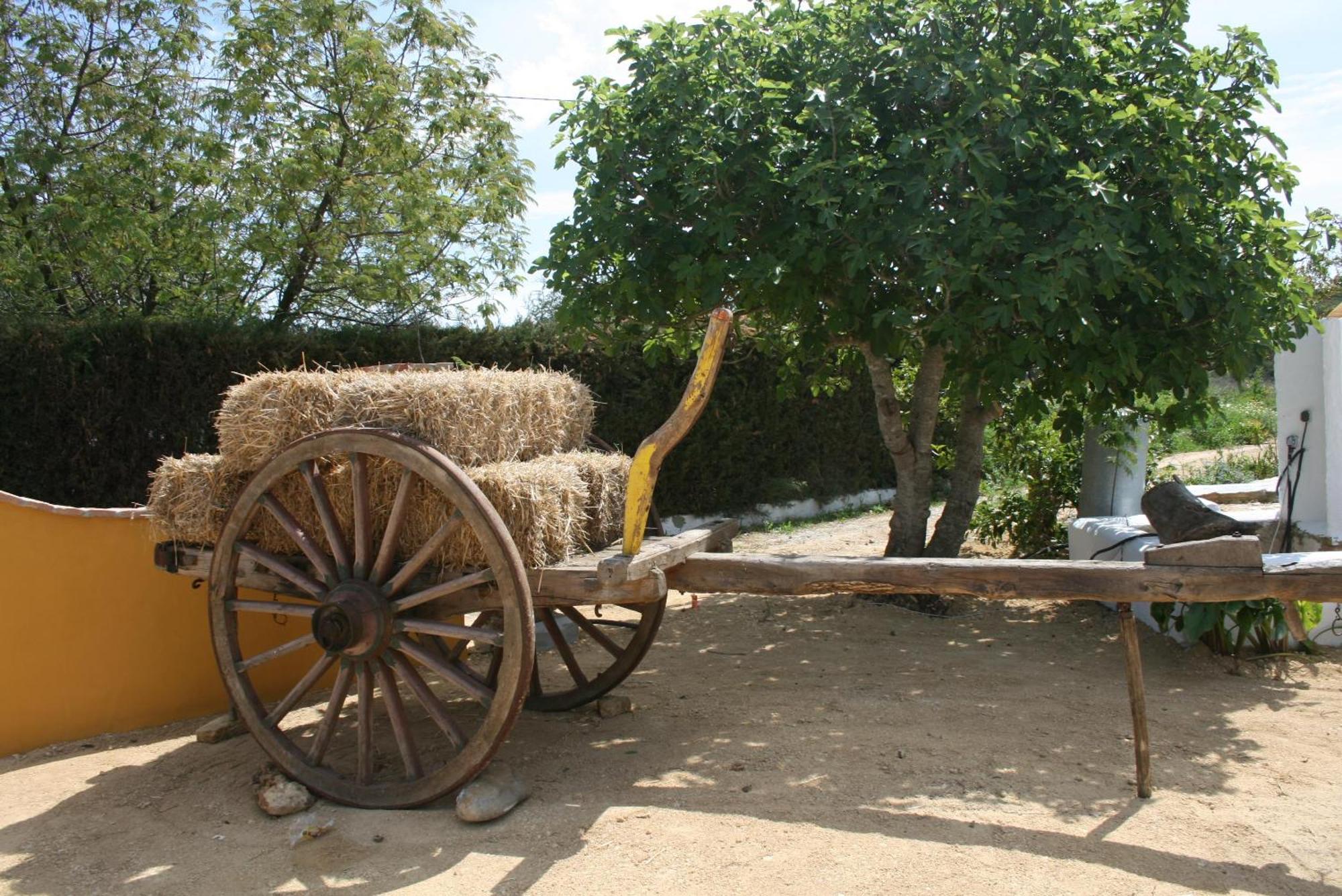 Hacienda Los Majadales Conil De La Frontera Eksteriør bilde