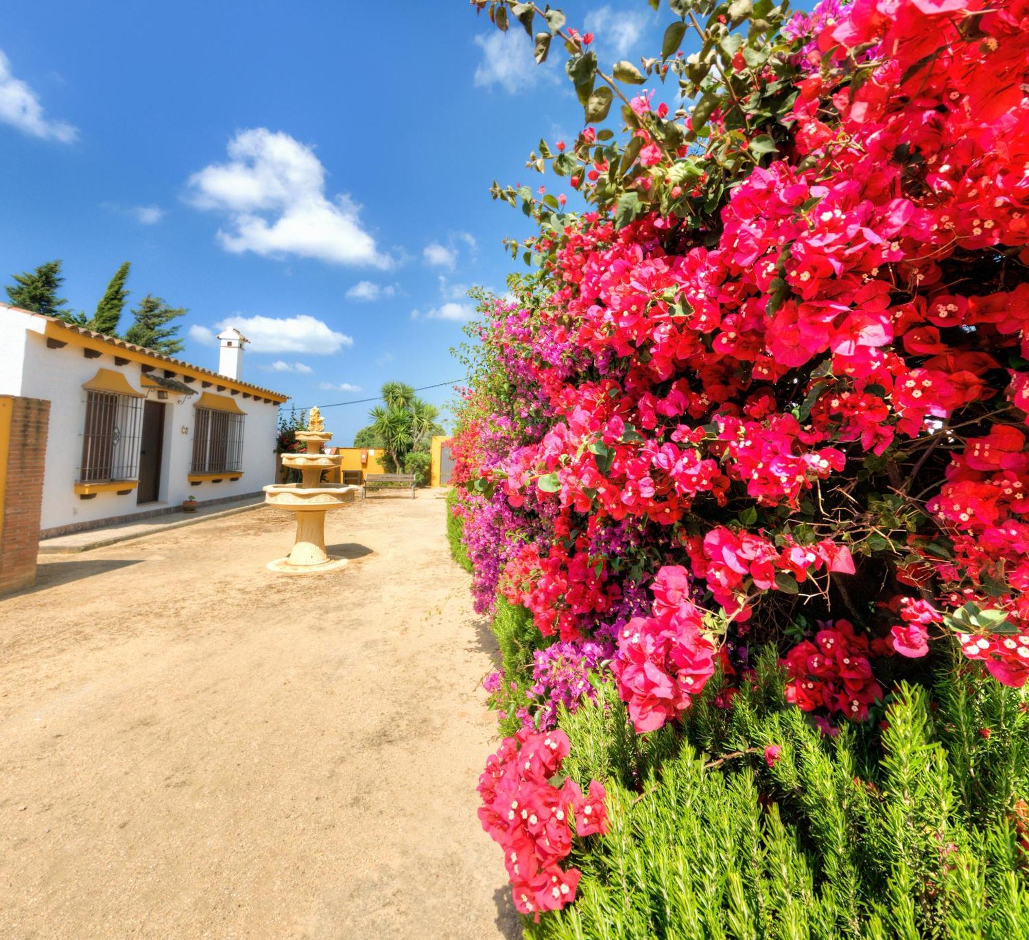 Hacienda Los Majadales Conil De La Frontera Eksteriør bilde